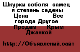 Шкурки соболя (самец) 1-я степень седены › Цена ­ 12 000 - Все города Другое » Продам   . Крым,Джанкой